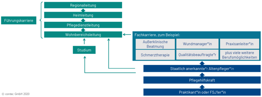 Laufbahnmodell Pflegekraft Beispiel contec