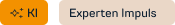 Icon-KI_Experten Implus