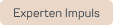 Tag_Experten Impuls