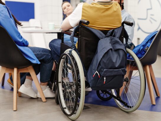 GSE Essen: Change-Management Werkstatt (WfbM)